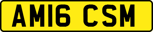 AM16CSM
