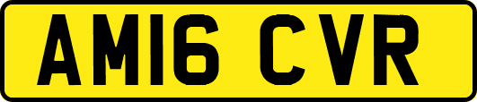 AM16CVR