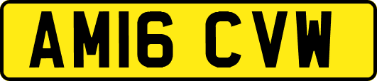 AM16CVW