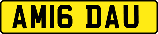 AM16DAU