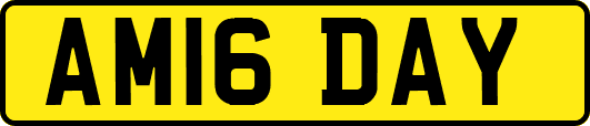 AM16DAY