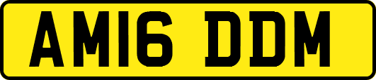 AM16DDM