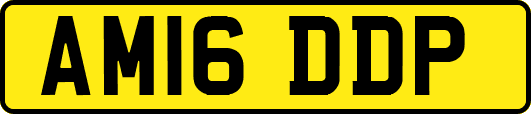 AM16DDP