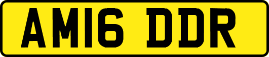 AM16DDR
