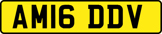 AM16DDV