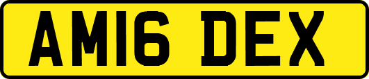 AM16DEX