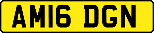 AM16DGN