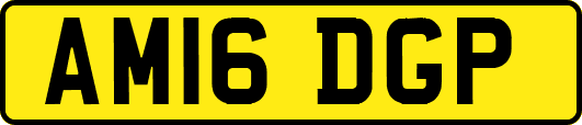 AM16DGP