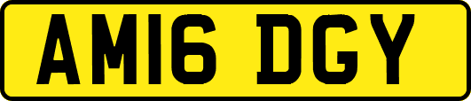 AM16DGY