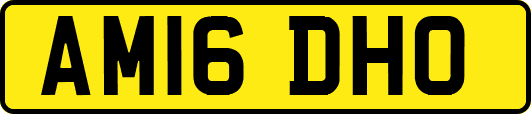 AM16DHO
