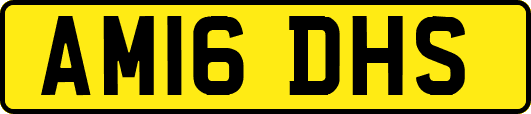 AM16DHS