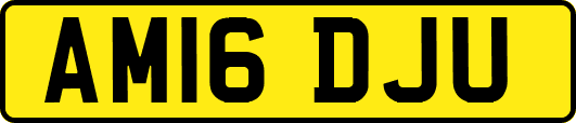 AM16DJU