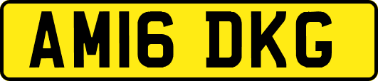 AM16DKG
