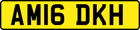 AM16DKH