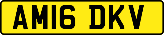 AM16DKV