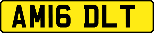 AM16DLT