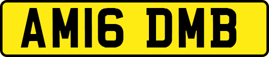AM16DMB