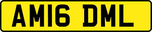 AM16DML