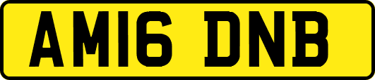 AM16DNB