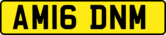 AM16DNM