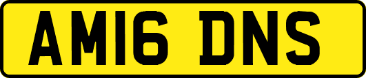 AM16DNS