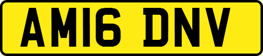 AM16DNV