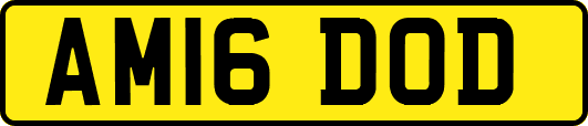 AM16DOD