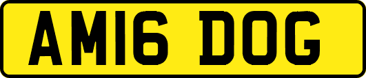 AM16DOG