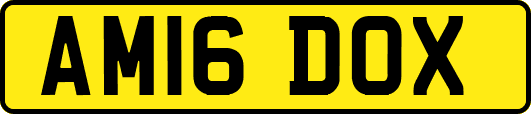 AM16DOX