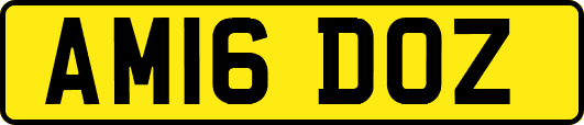 AM16DOZ