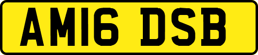 AM16DSB