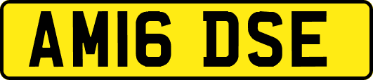 AM16DSE
