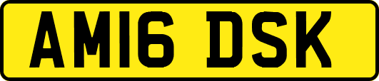 AM16DSK