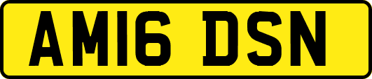AM16DSN