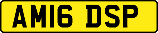 AM16DSP
