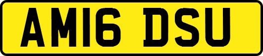 AM16DSU