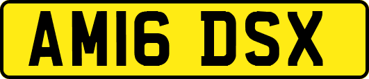 AM16DSX