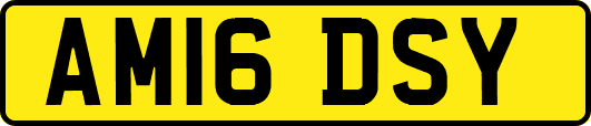 AM16DSY