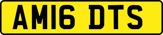 AM16DTS
