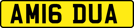 AM16DUA