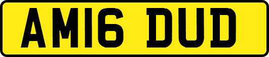 AM16DUD