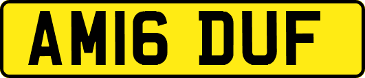 AM16DUF