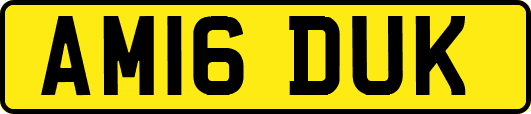 AM16DUK