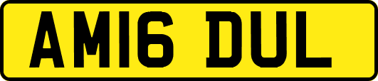 AM16DUL