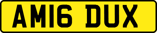 AM16DUX