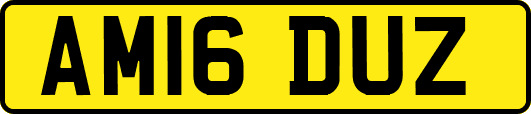 AM16DUZ