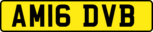 AM16DVB