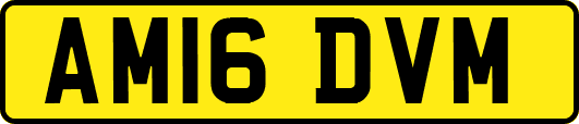 AM16DVM