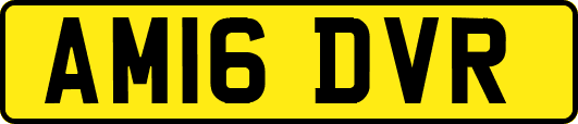 AM16DVR