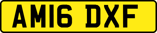 AM16DXF